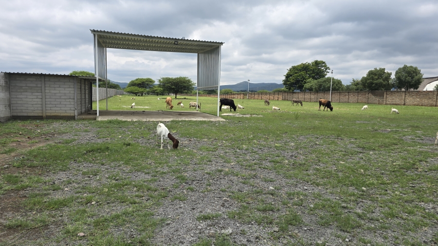 Commercial Property for Sale in Renosterfontein A H North West